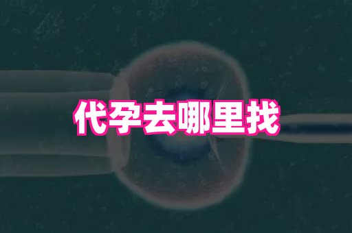 河南助孕网站 1