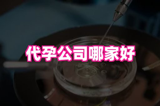 河南助孕网站 2