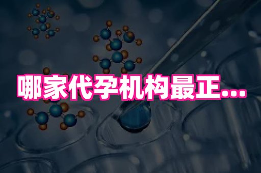 河南助孕网站 3