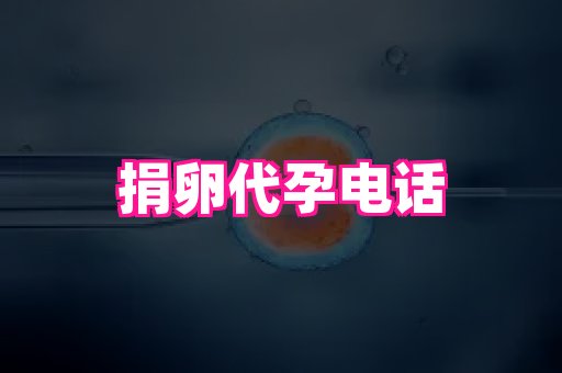 河南助孕网站 4